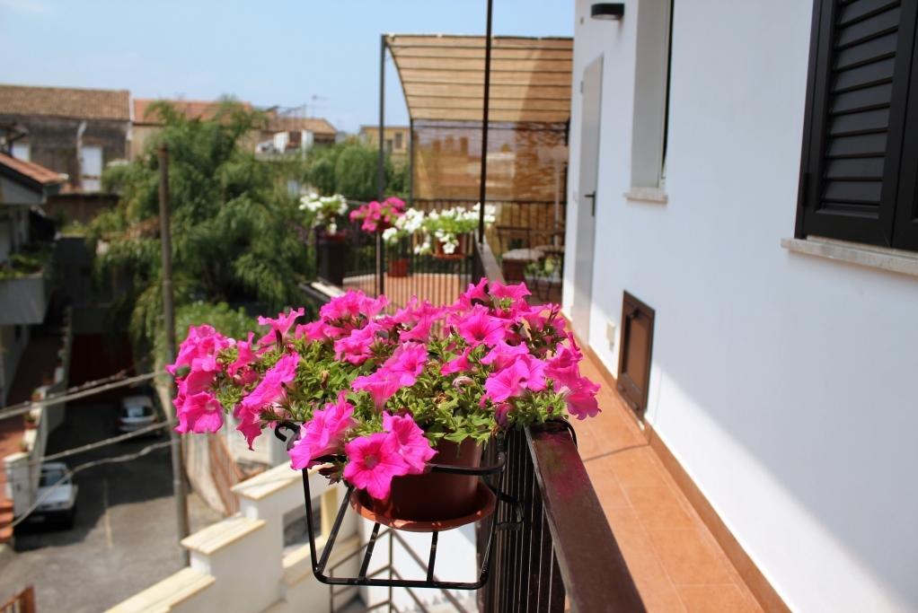 Tortugas B&B Giarre Dış mekan fotoğraf